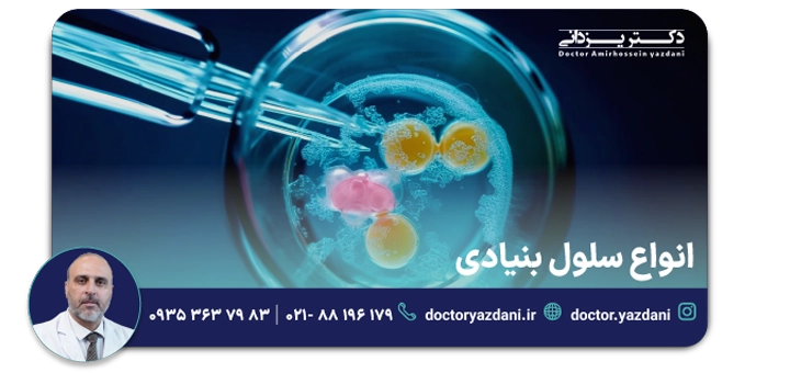 انواع سلول بنیادی